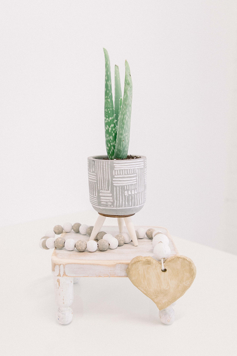 Stylized product photo of plant and handmade garlands in studio, Emily VanderBeek Photography, Portrait and Family photography, Niagara Photographer, Champlain Photographer, Vaudreuil-Soulanges Photographer, candid photography, authentic photography.