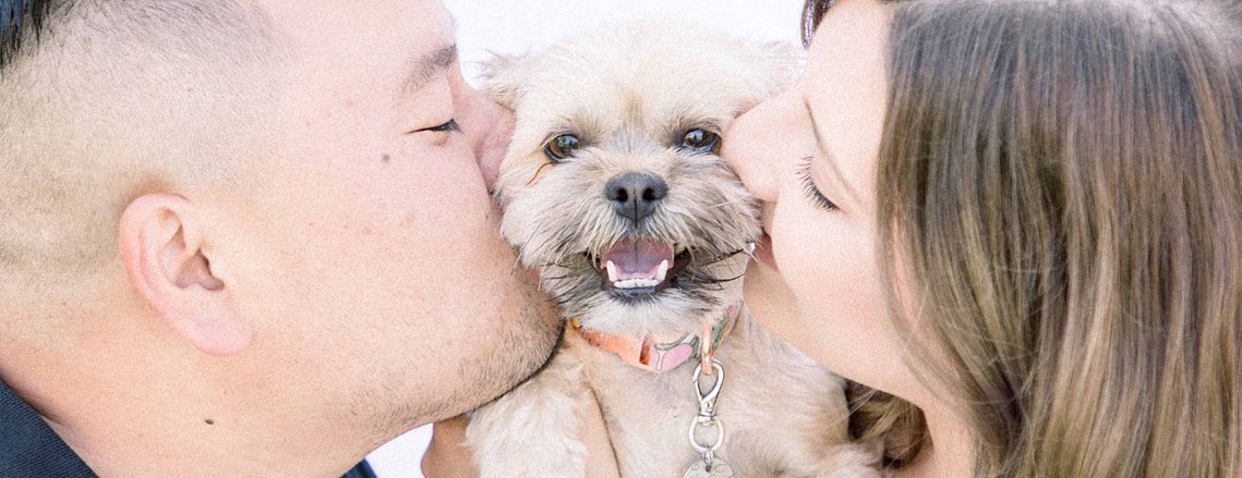 Portrait of man and woman kissing puppy in the middle of them, Emily VanderBeek Photography, Portrait and Family photography, Niagara Photographer, Champlain Photographer, Vaudreuil-Soulanges Photographer, candid photography, authentic photography.