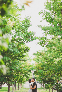 Montreal Wedding Photographer Photography, Photographe Mariage Montreal