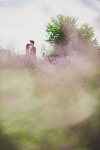 Montreal wedding photographer, Montreal engagement photographer