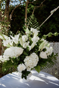 Chateau Vaudreuil Hotel wedding; John KOO Photography; Kayla and Kevin's wedding; Montreal Jewish wedding; Montreal Jewish wedding photographer; Montreal intimate wedding