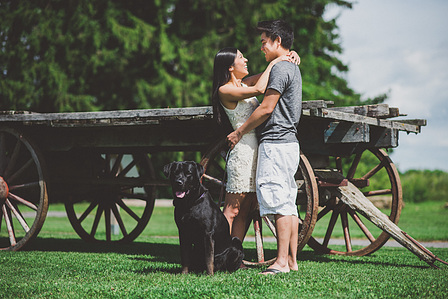 Montreal wedding photographer, Montreal engagement photographer