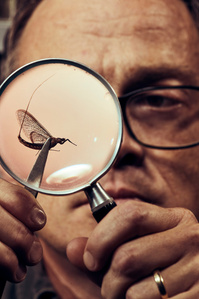 Professor Luke Jacobus 
Mayflies

(Mustafa Hussain for The Washington Post Magazine)