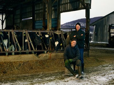Image of American dairy farmers in Upstate New York, standing next to their dairy cows.