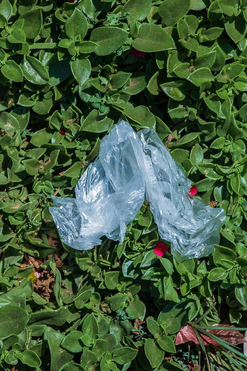 Rwanda's plastic bag ban: a leader in the fight against plastic pollution
Rwanda's efforts to maintain its green reputation
How Rwanda's ban on non-biodegradable plastic bags is making a difference