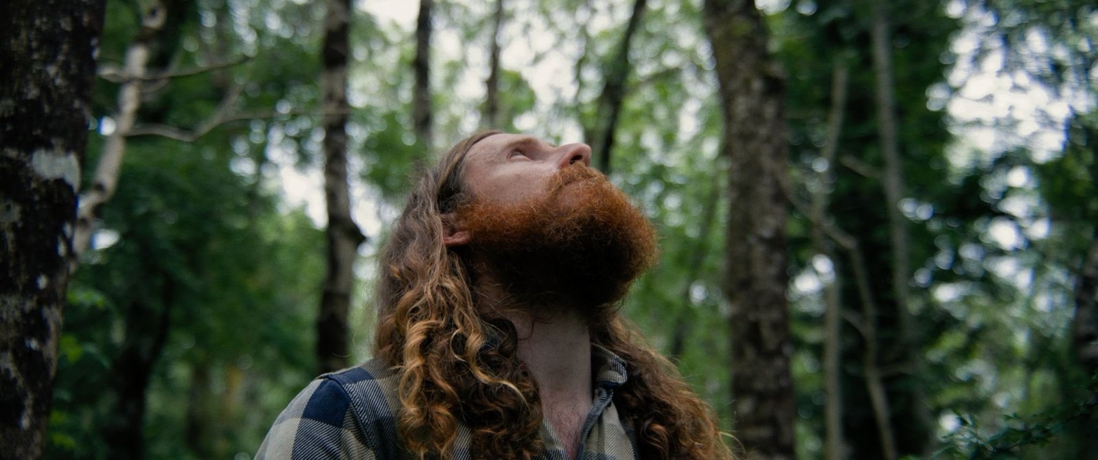 Trailer for the full Ash Rise documentary film