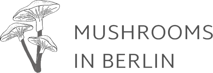 Guided Mushroom Tours in English