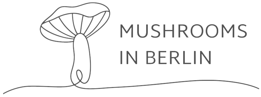 Guided Mushroom Tours in English