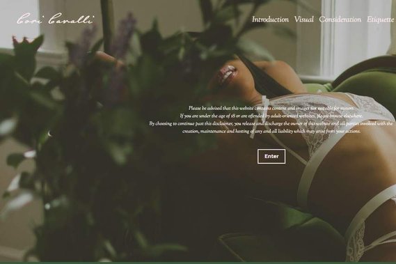 African-American escort in Atlanta, Georgia