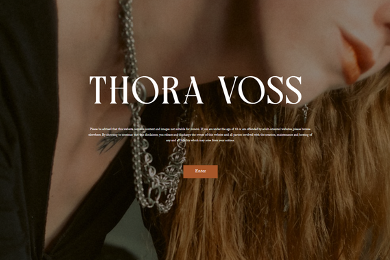 Escort website design services in the USA and North America