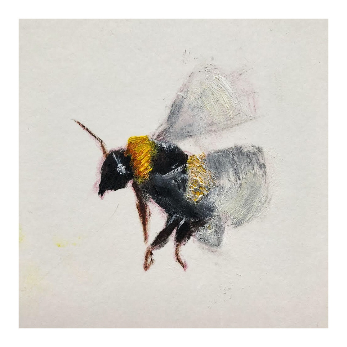 Small oil painting commissions of bees