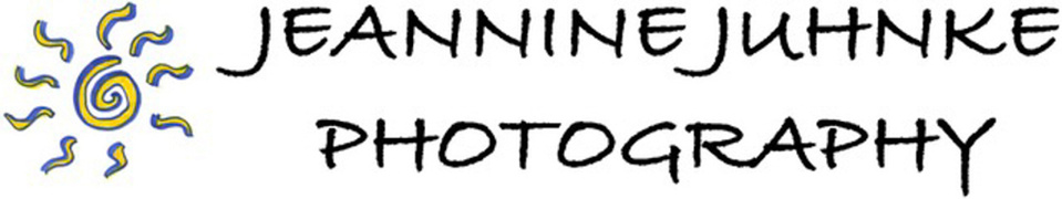 Jeannine Juhnke's Portfolio