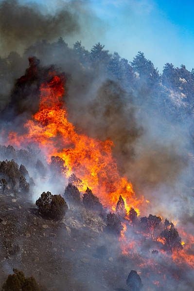 Wildfire in Colorado Wildland fire