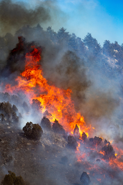 Wildfire in Colorado Wildland fire
