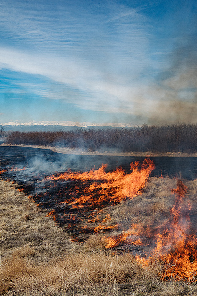 Rocky Mountain Arsenal Prescribed Fire