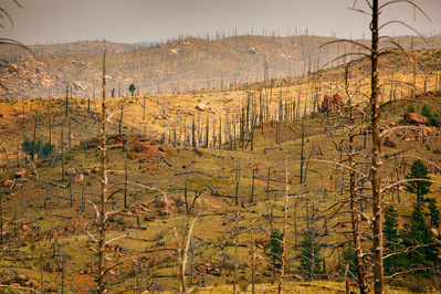Buffalo Creek wildfire wildland fire 