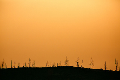 Buffalo Creek wildfire wildland fire 