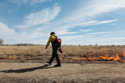 Prescribed Wild Fire