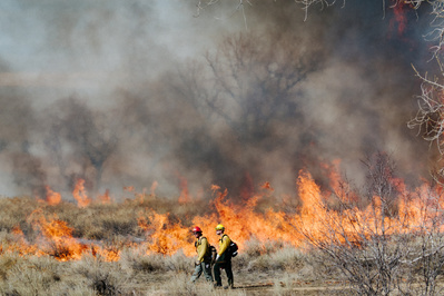 Wildland firefighters in a prescribed fire
