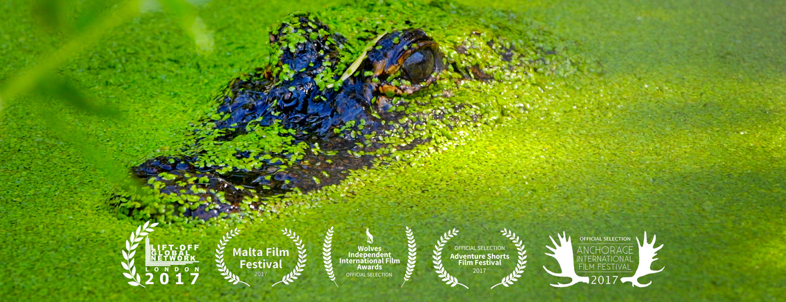 Colorado Gators Reptile Park