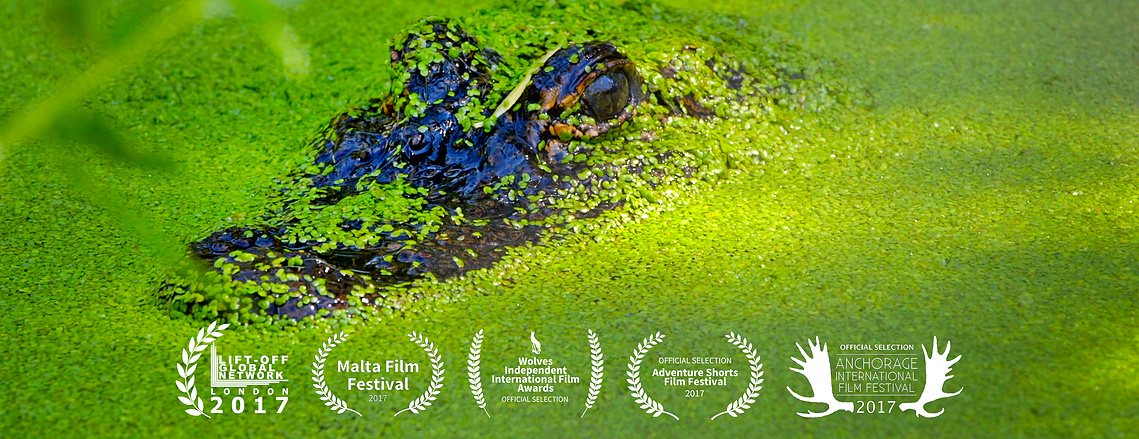 Colorado Gators Reptile Park