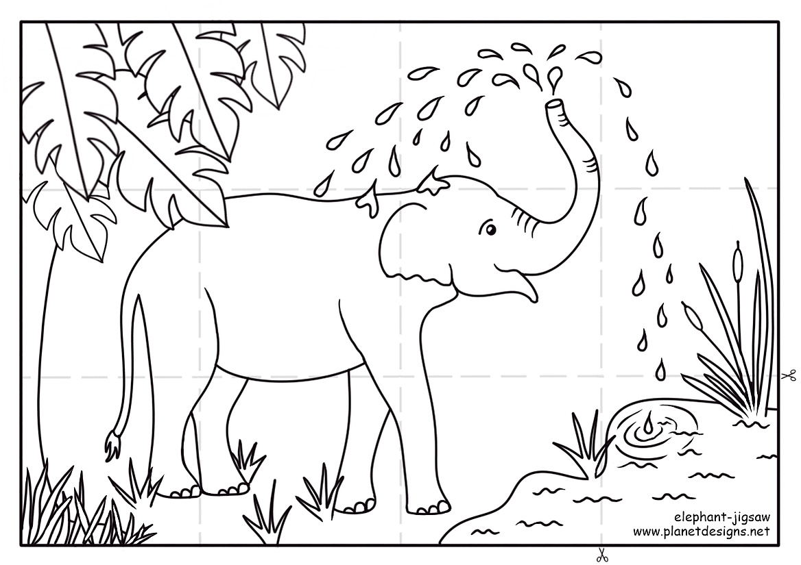 Elephant drinking water from a pond in the jungle then spraying the water from it's trunk. A picture to colour in, cut along the dotted lines, and create a 12 piece jigsaw. Have fun learning through play. Designed by Planet Designs Kids.