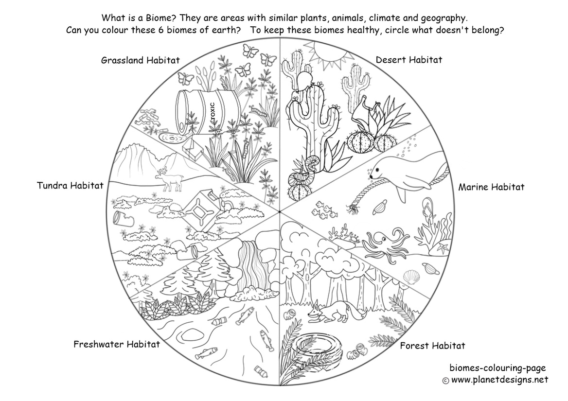 Biomes of the earth to colour & identify the pollution in each different biome. Great resource for World Clean Up Day. Designed by Planet Designs Kids.