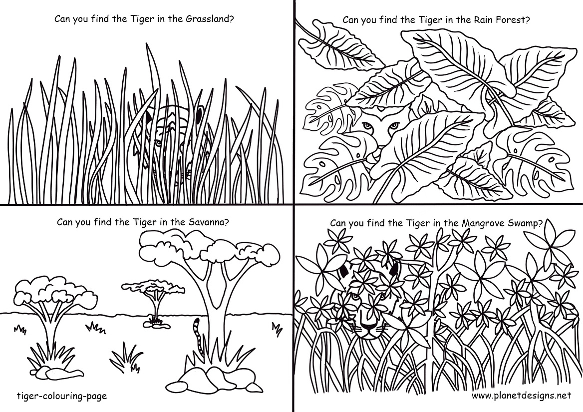 Free printable Tiger colouring page & Tiger Search and Find for International Tiger Day. Education resource for children, preschool, kindergarten, primary school & home school. Fun Tiger Conservation activity. Designed by planetdesigns.net