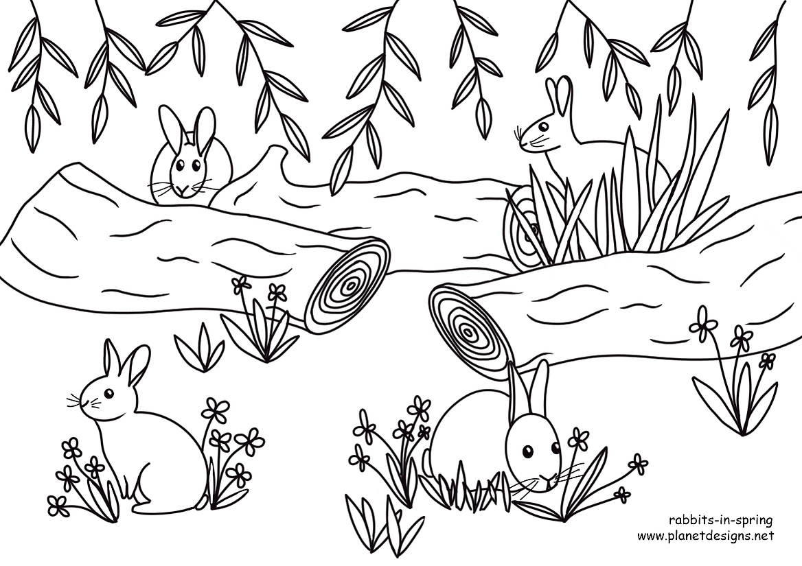 A picture of 4 rabbits enjoying Spring in a landscape of clover, flowers, trees and swaying leaves. A free colouring page great for rabbit or Spring themed lessons for early childhood and primary school aged children. Designed by Planet Designs Kids.