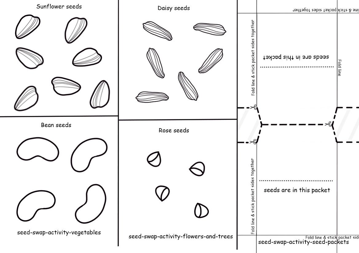 This free "Seeds and packets colouring activity" includes 3 pages of: Vegetables, Flowers, & Tree seeds along with Seed Packet template to colour, cut out, paste, sort & play with. From Planet Designs  Kids.