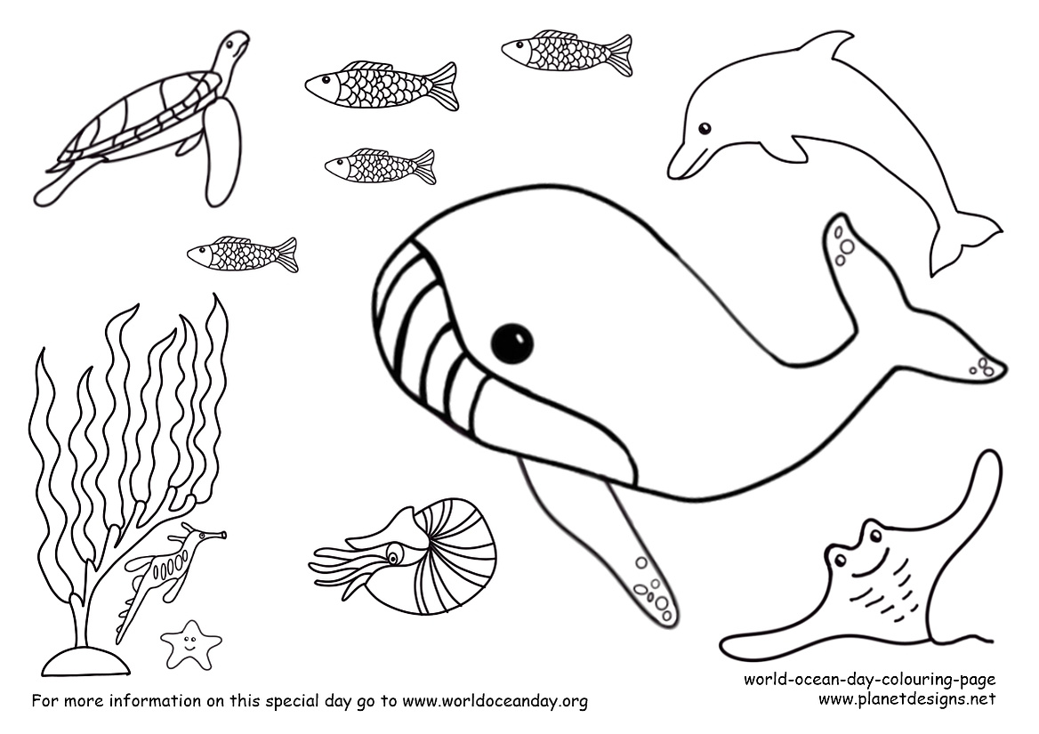 Colouring page to celebrate World Ocean Day. An underwater scene with marine animals found around Australia including: Humpback Whale, King George Whiting, Sea Star, Bottlenose Dolphin, Green Sea Turtle, Weedy Sea Dragon, Nautilus, & Giant Manta Ray.