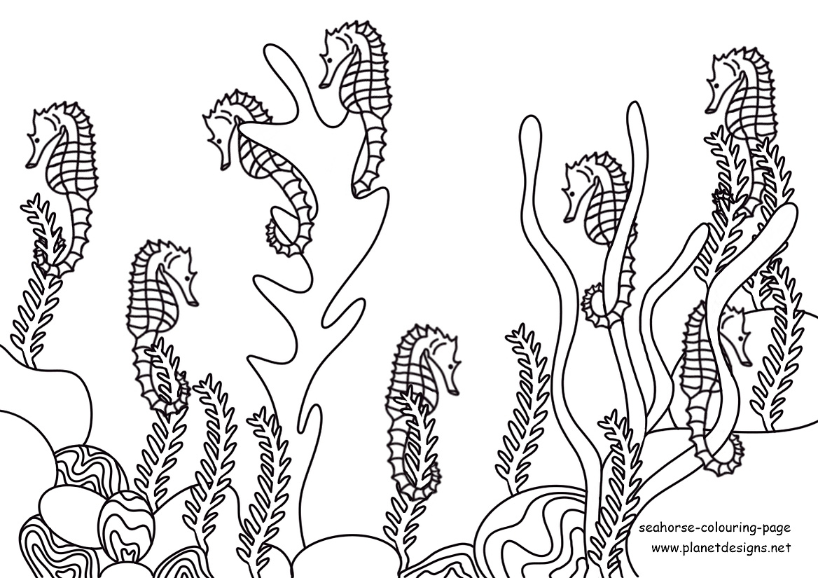 Seahorses clinging to seaweed to colour & a fun counting activity all in one. A free resource for children who love the ocean. Early childhood activity to help develop focus, motor skills, creativity & counting. Designed by Planet Designs Kids   