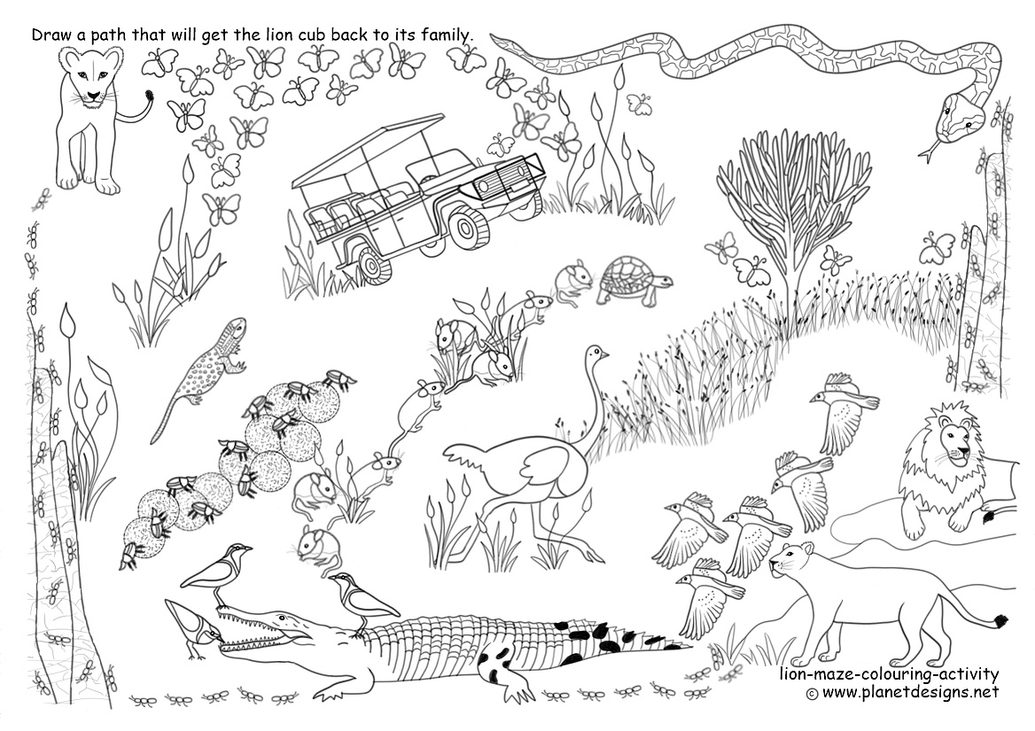 Savanna ecosystem to colour with maze to get lion cub back to its family. Includes safari truck, termites, crocodile, python, birds, tortoise, lizard, mice, ostrich, butterflies, beetles, lion cub, lioness, male lion, plants & trees. 