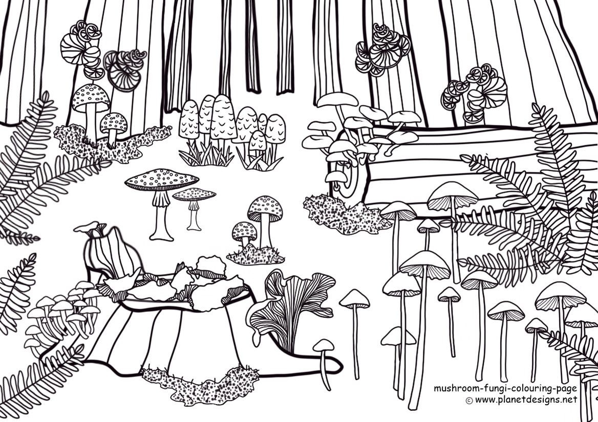 A pine forest landscape with mushrooms, fungi, glowing mushrooms, tree trunks, stumps, logs, moss & ferns to colour in.