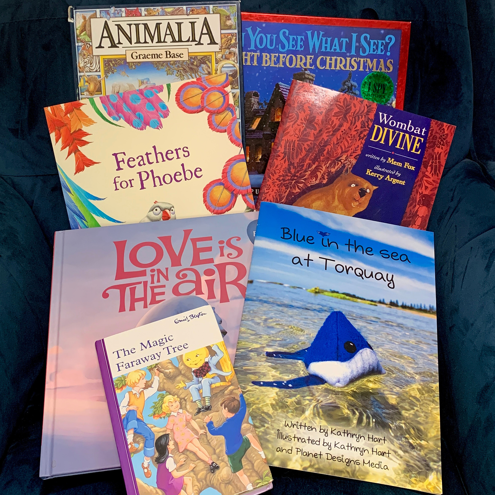 A display of 7 Children's books to celebrate Book Week in Australia. Photograph taken by planetdesigns.net