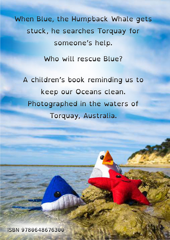 Back page of the PDF children's book Blue in the sea at Torquay