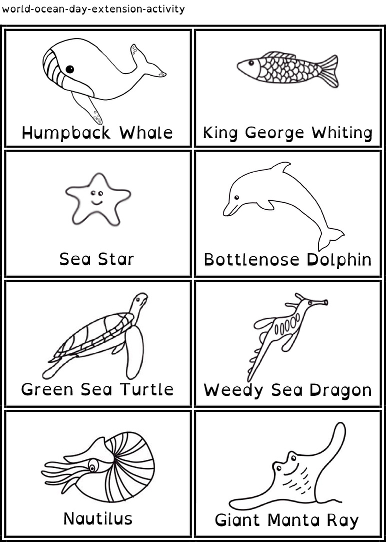 Activity page to b e used with World Ocean Day Colouring Page. 8 Marine Animals found around Australia are pictured with their name ready to colour and print out as Memory game cards.