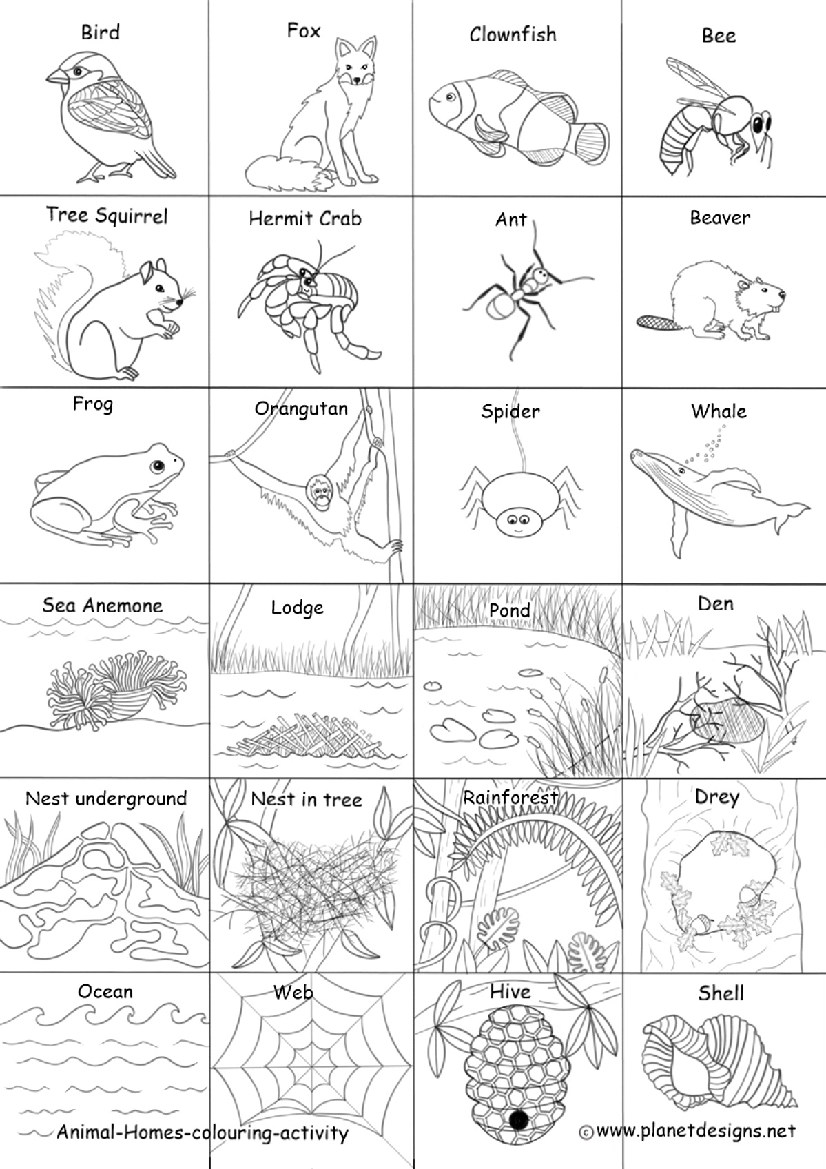 Animal Homes colouring activity - Planet Designs Kids - Planet Designs