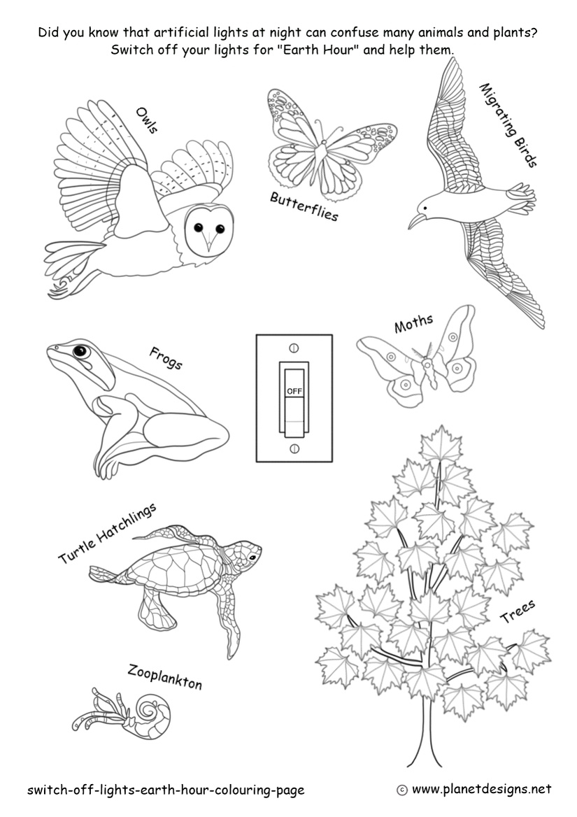 A colouring page for Earth Hour with a light switch in the off position, surrounded by animals and plants that can be confused by artificial lights at night: Owl, Butterfly, Migrating Bird, Moth, Frog, Turtle hatchling, Zooplankton and a Tree.