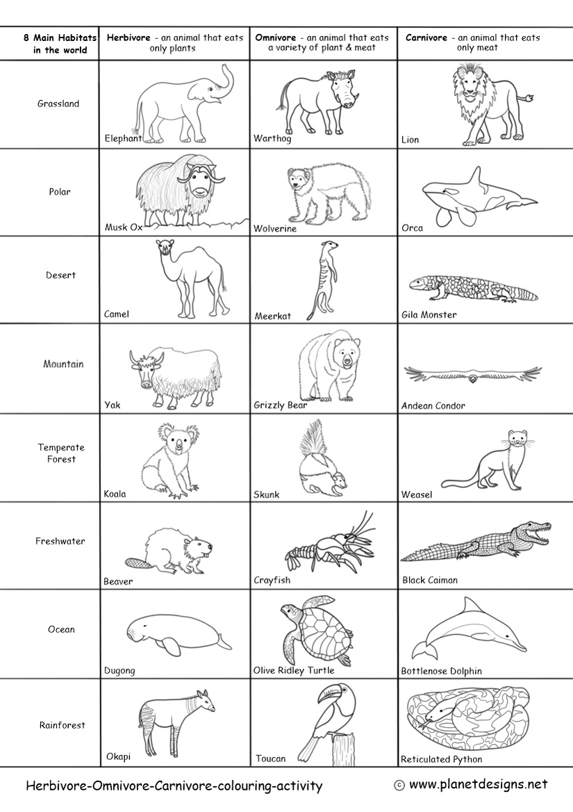 Of the 24 animals illustrated learn which one is a Herbivore, Omnivore or Carnivore living in the 8 main habitats on earth: Grassland, Polar, Desert, Mountain, Temperate Forest, Freshwater, Ocean & Rainforest.