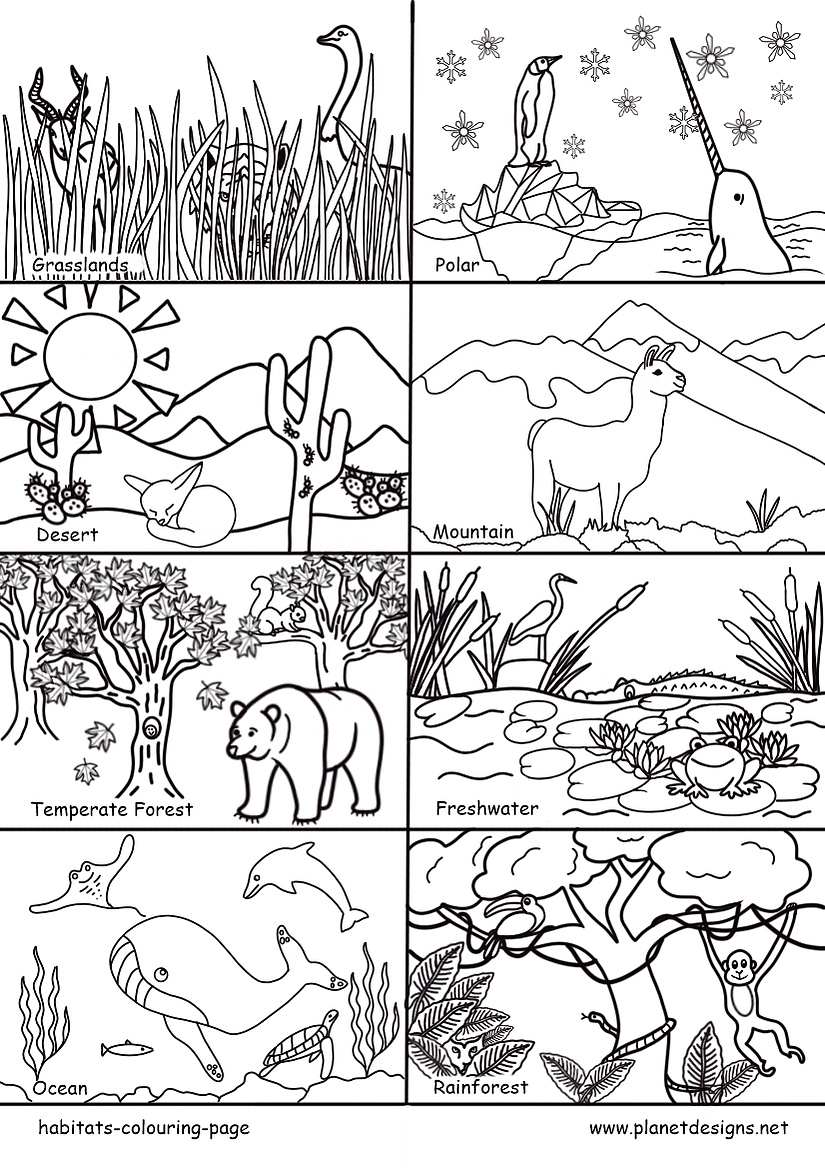 A free colouring page of 8 main Habitats of earth including: Grasslands, Polar, Desert, Mountain, Temperate Forest, Freshwater, Ocean & Rainforest. Perfect for World Habitat Day, habitat conservation & environmental studies. Designed by planetdesigns.net