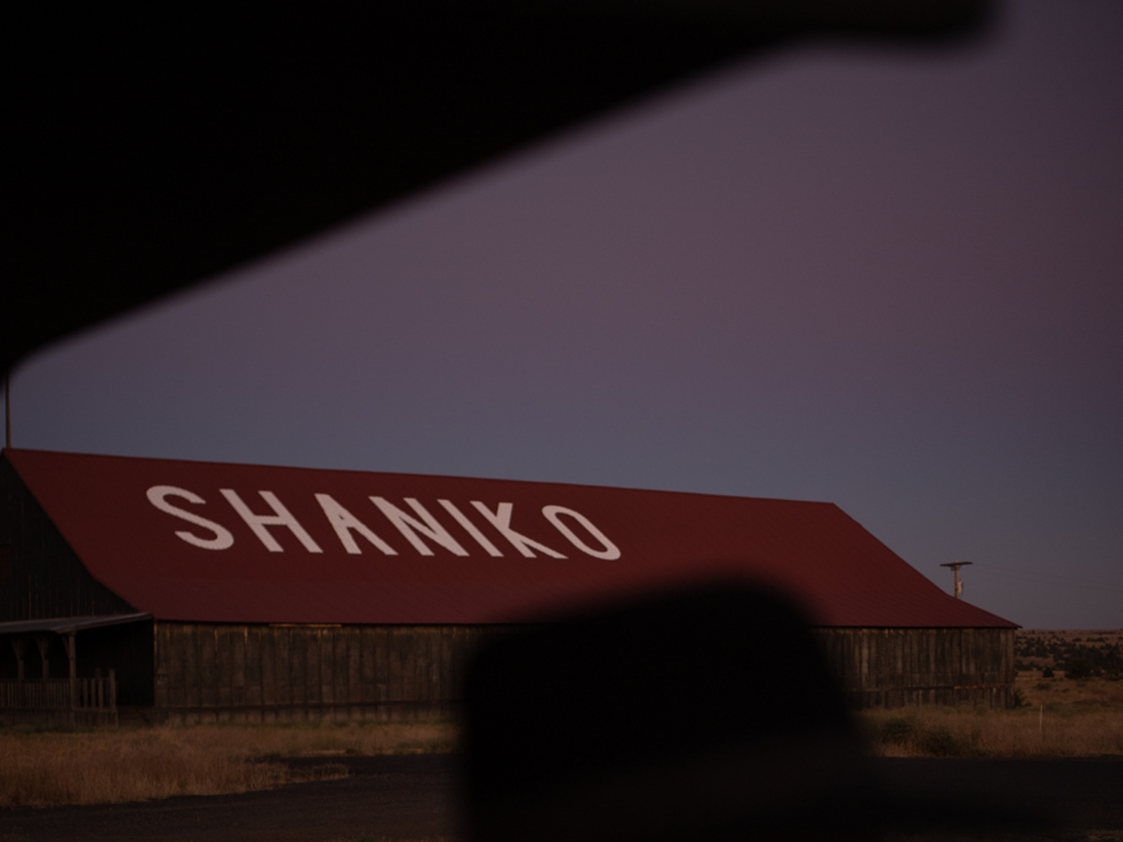 Shaniko Rosie Day