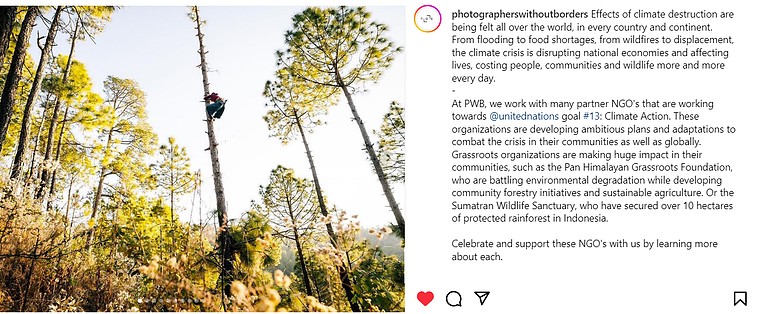 A screenshot of a post for the campaign creation for Photographers Without Boders.