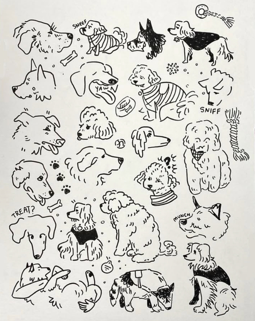 Black and white line illustrations of twenty-one different drawings of dogs’ heads and bodies. Framed with toys, paw prints, and dots.
