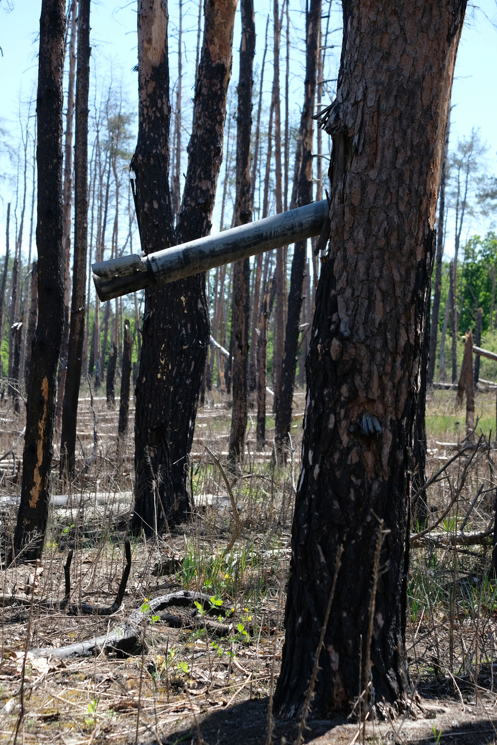Cette roquette Grad s'est figée dans un arbre et n'a pas explosée. Toute la zone est jonchée de d'obus et d'explosifs divers. Pour autant, aucun panneau ou avertissement n'indiquent le danger. La piste qui traverse cette forêt n'est pas interdite. 