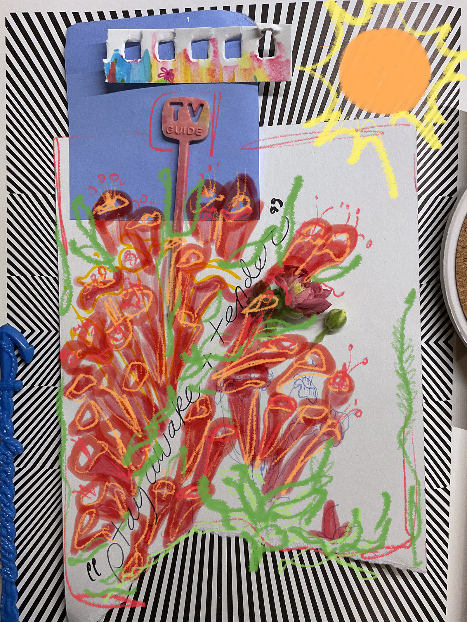 This is a digital collage I made by scanning some papers on top of one another, then doodling (with Procreate) on top. The background is small black and white strips + scraps of paper. The forefront is red orange trumpet flowers, under a cartoonish sun