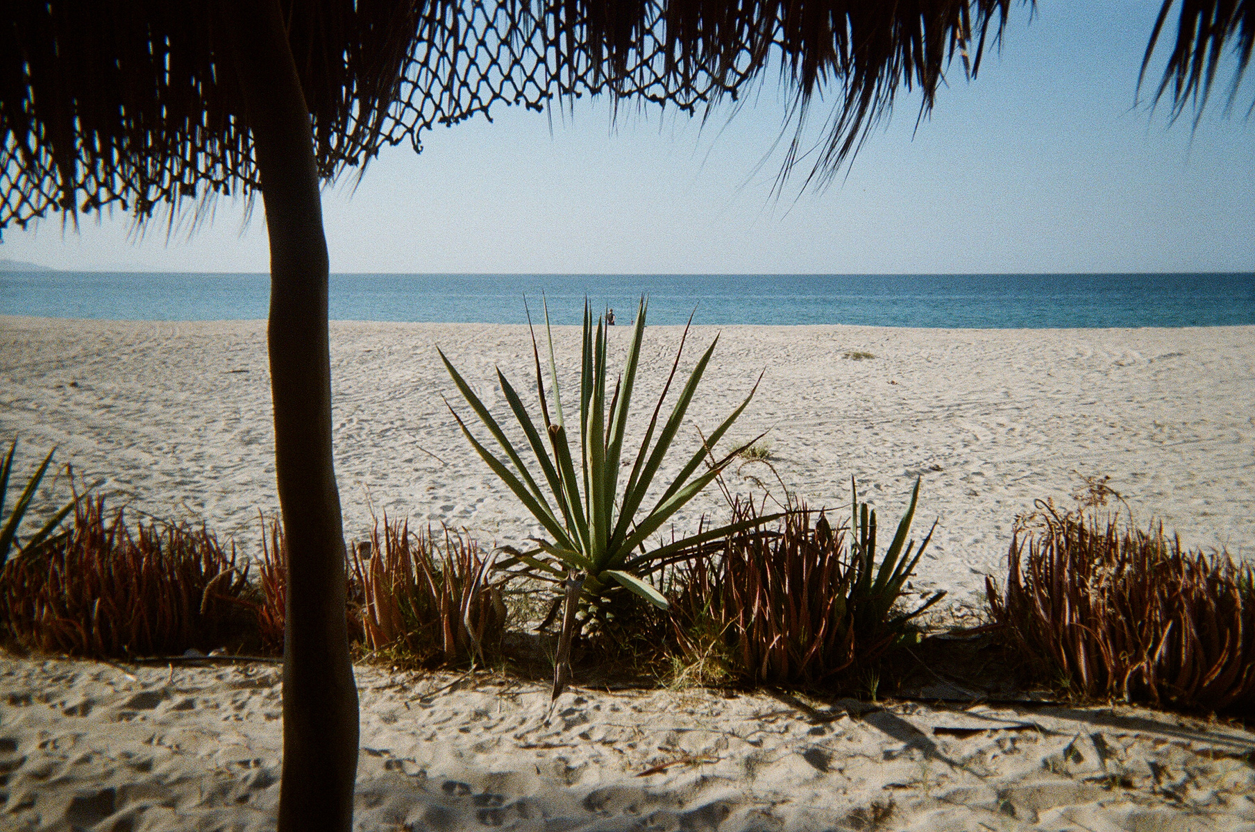A sunny seascape taken from the porch of Clarence's house in Los Barriles, Mexico.