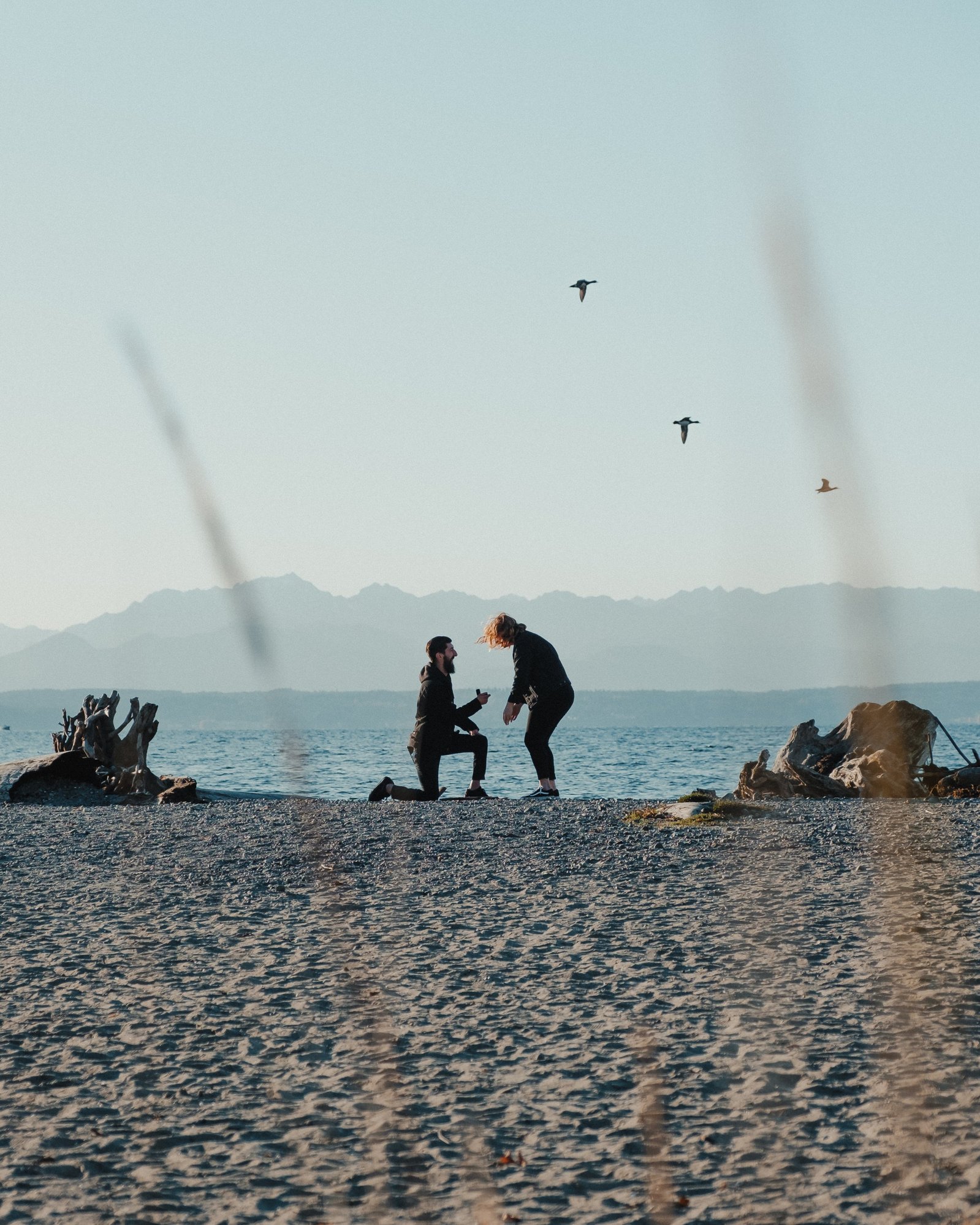 Birds fly behind a marriage proposal, captured conspicuously by a hidden photographer, at Carkeek Park in Seattle, Washington