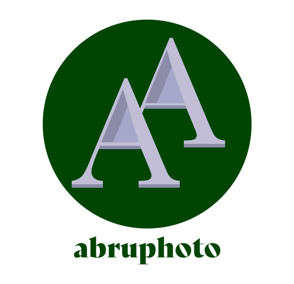 Allison Abruscato's Portfolio