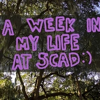 A week in my life 